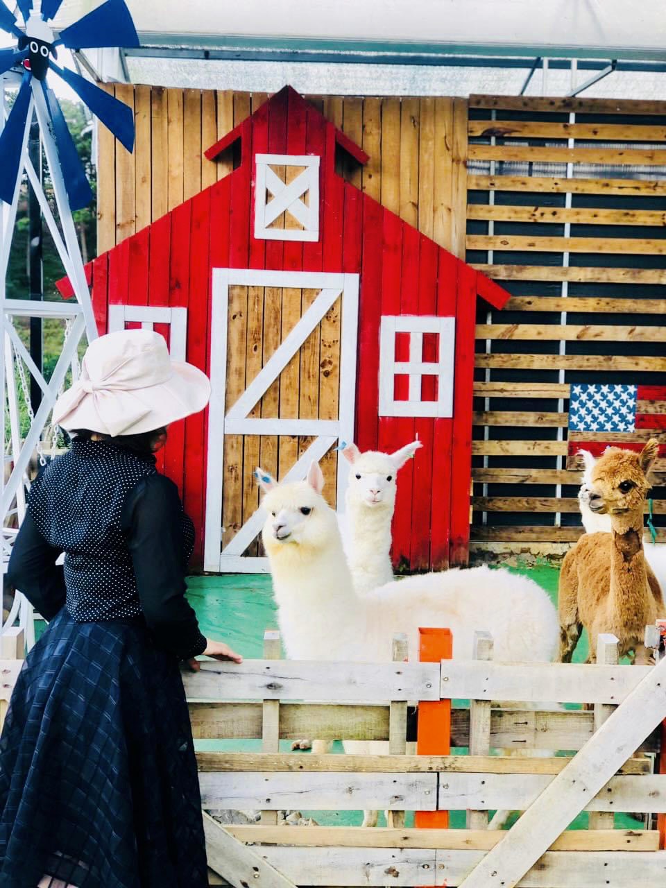 Lá Phong Travel TOUR 9: TOUR THAM QUAN VƯỜN THÚ ZOO DOO